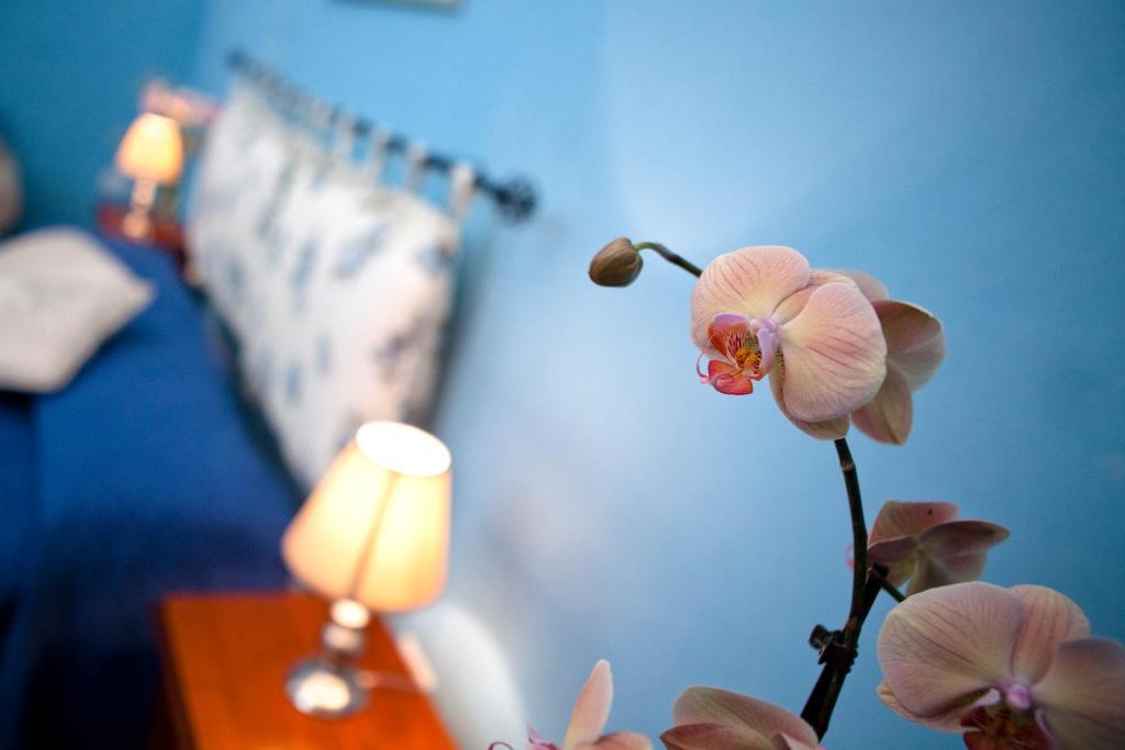 B&B Dimora San Vincenzo Gallipoli Room photo